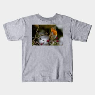 Robin Redbreast Kids T-Shirt